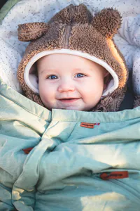 Hovedbilde Lyng vognpose - Gr&oslash;nn